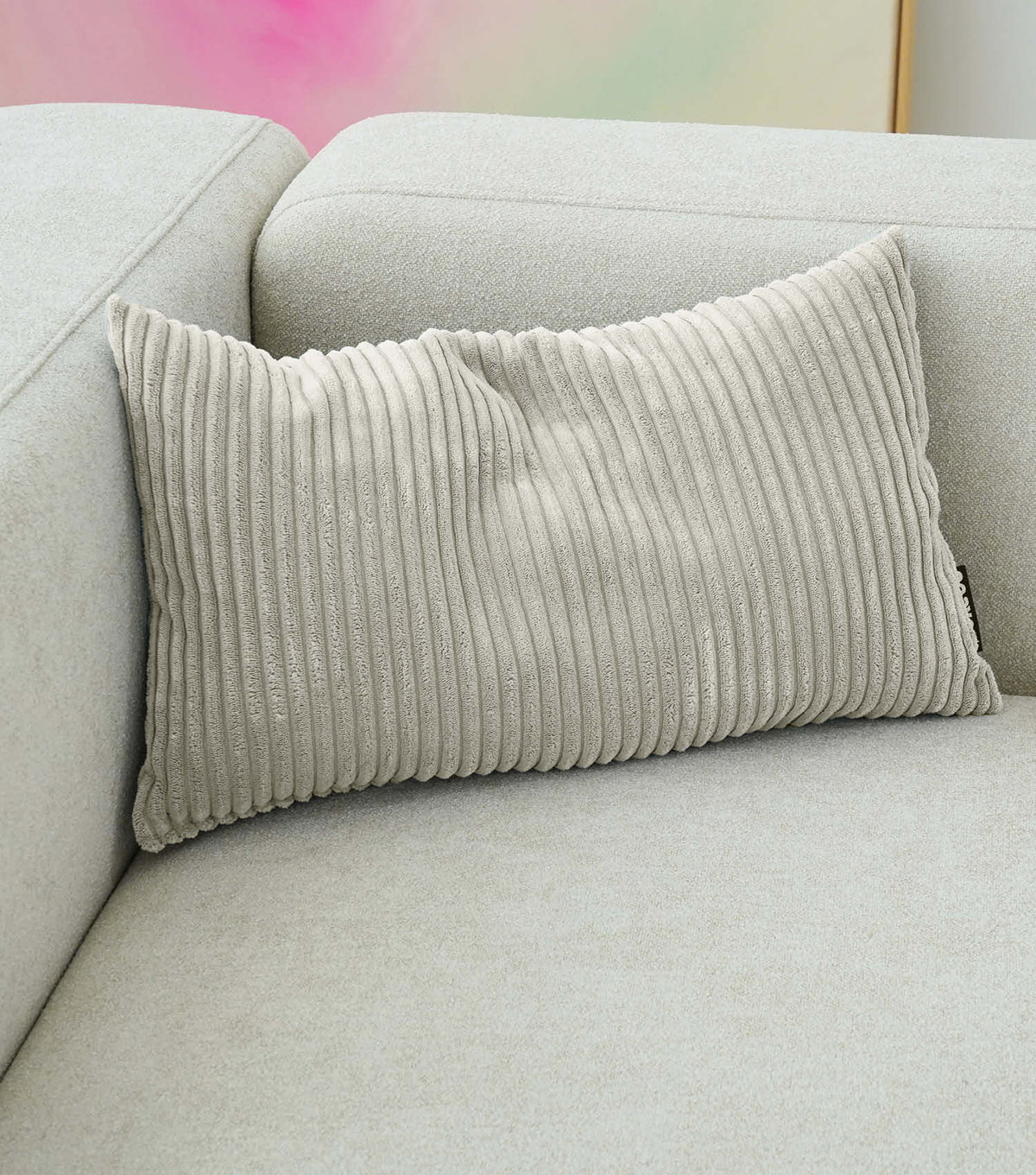 Coussin décoratif, coussin de canapé, coussin en velours côtelé, coussin, coussin de dossier, traversin