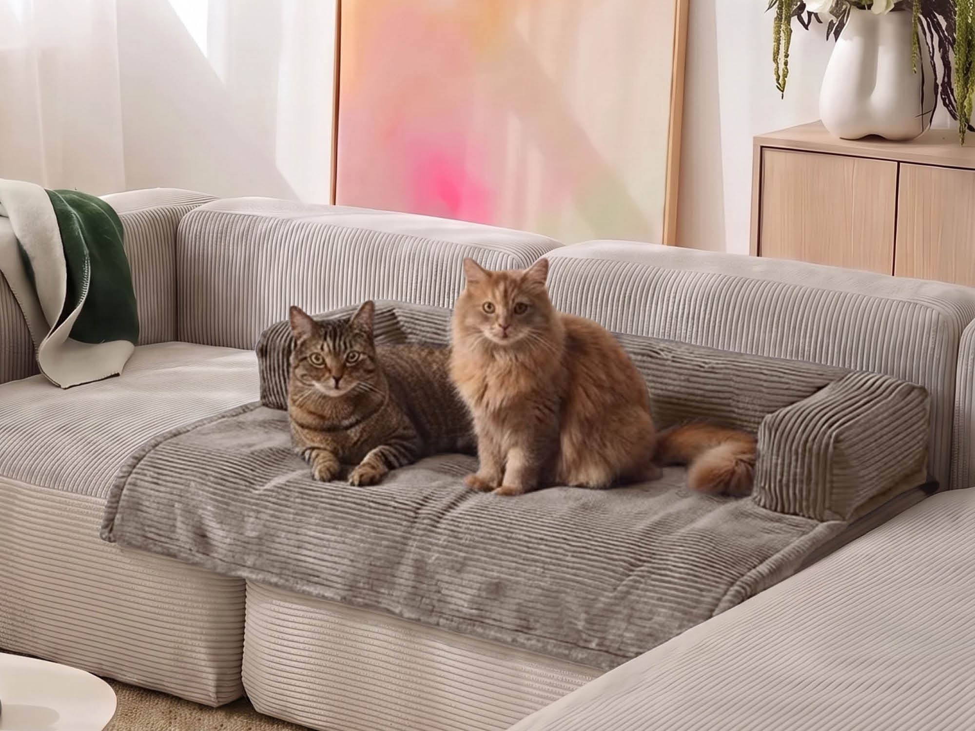 zwei Katzen sitzen auf der mokebo Cord Haustierdecke 'Nest' in taupe auf einem Sofa 